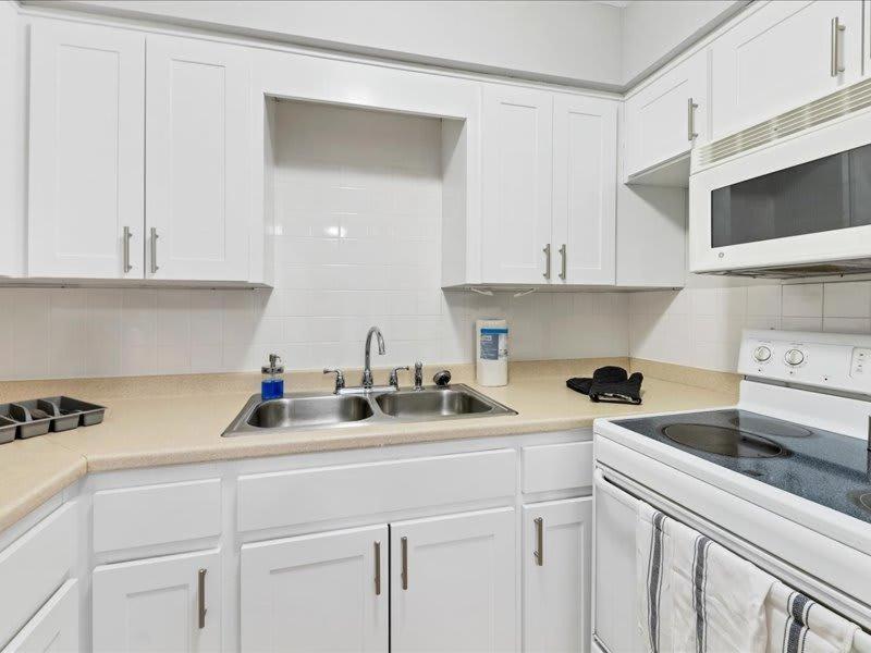 Designed And Cozy 1Br With Parking Near Stores Lejlighed Tampa Eksteriør billede